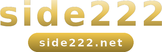 side222 logo